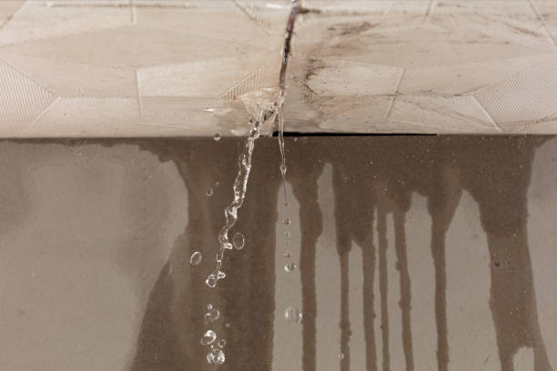 Professional Water Damage Repair technician working in San Felipe, TX